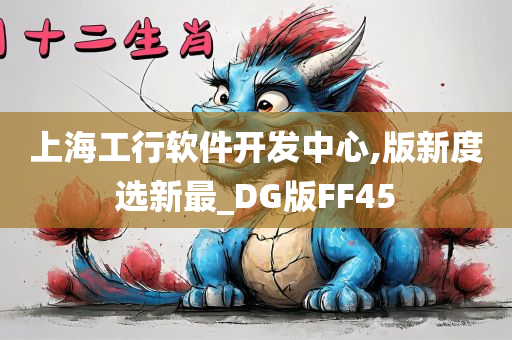 上海工行软件开发中心,版新度选新最_DG版FF45