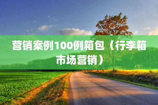 营销案例100例箱包（行李箱市场营销）