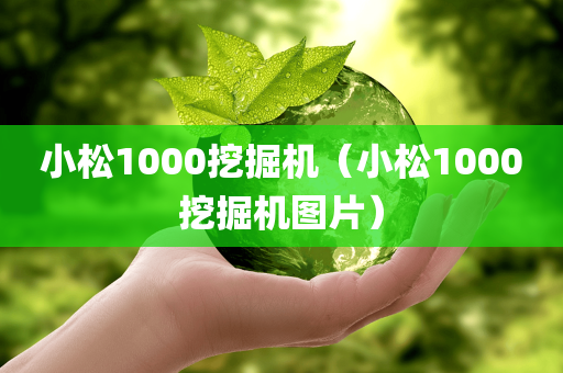 小松1000挖掘机（小松1000挖掘机图片）