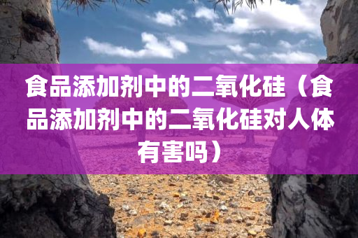 食品添加剂中的二氧化硅（食品添加剂中的二氧化硅对人体有害吗）