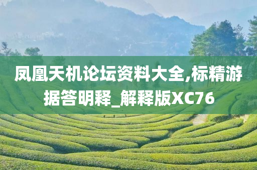 凤凰天机论坛资料大全,标精游据答明释_解释版XC76