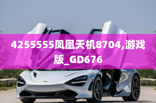 4255555凤凰天机8704,游戏版_GD676