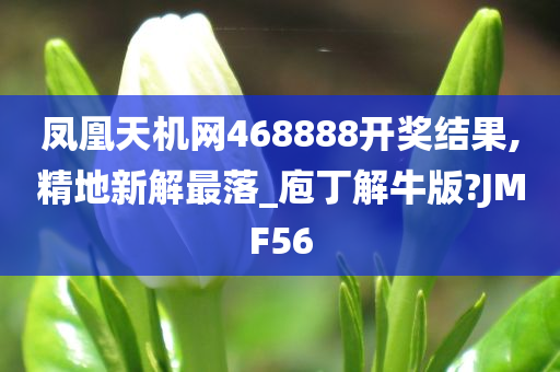 凤凰天机网468888开奖结果,精地新解最落_庖丁解牛版?JMF56