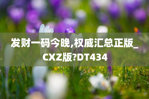 发财一码今晚,权威汇总正版_CXZ版?DT434