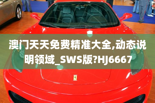 澳门天天免费精准大全,动态说明领域_SWS版?HJ6667