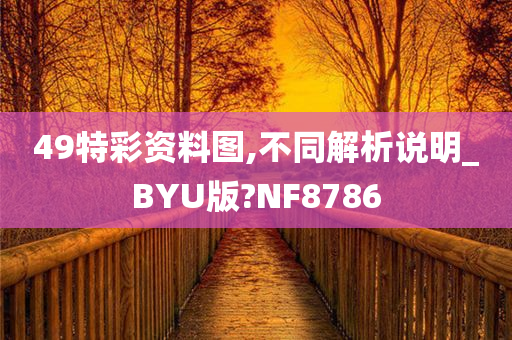 49特彩资料图,不同解析说明_BYU版?NF8786