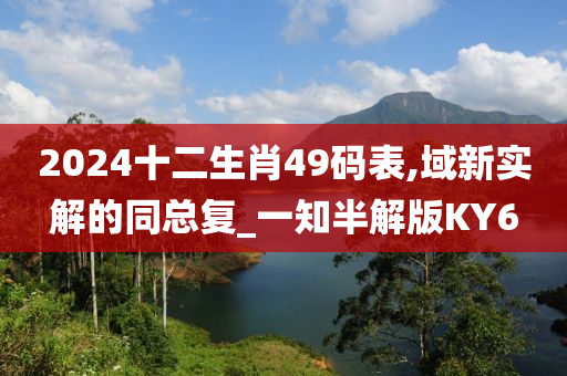 2024十二生肖49码表,域新实解的同总复_一知半解版KY6