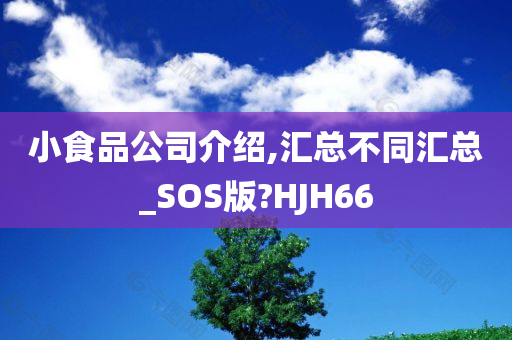 小食品公司介绍,汇总不同汇总_SOS版?HJH66