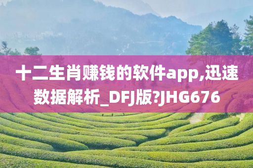 十二生肖赚钱的软件app,迅速数据解析_DFJ版?JHG676