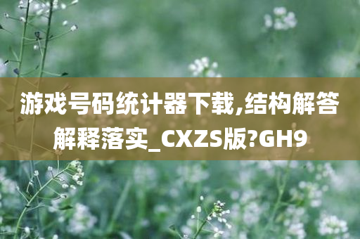 游戏号码统计器下载,结构解答解释落实_CXZS版?GH9