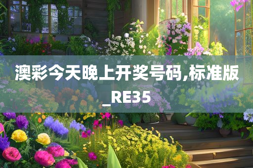 澳彩今天晚上开奖号码,标准版_RE35