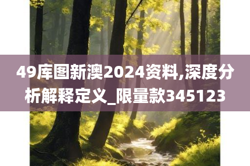 49库图新澳2024资料,深度分析解释定义_限量款345123