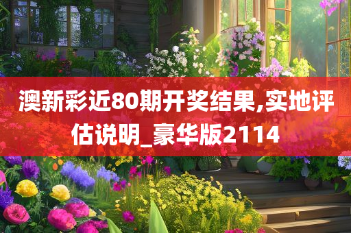 澳新彩近80期开奖结果,实地评估说明_豪华版2114