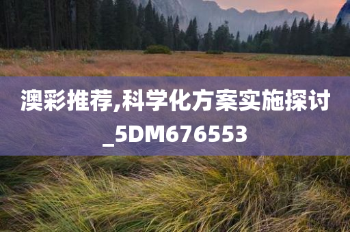 澳彩推荐,科学化方案实施探讨_5DM676553