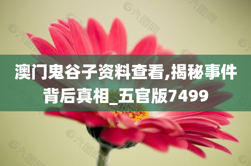 澳门鬼谷子资料查看,揭秘事件背后真相_五官版7499