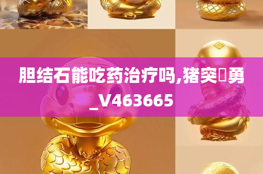 胆结石能吃药治疗吗,猪突豨勇_V463665