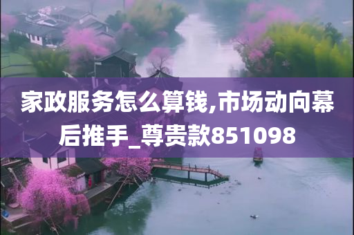 家政服务怎么算钱,市场动向幕后推手_尊贵款851098