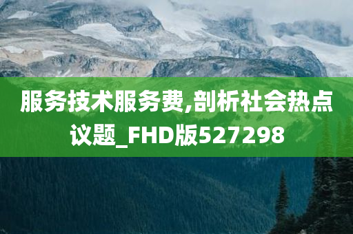 服务技术服务费,剖析社会热点议题_FHD版527298