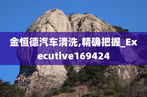 金恒德汽车清洗,精确把握_Executive169424