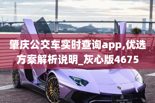 肇庆公交车实时查询app,优选方案解析说明_灰心版4675