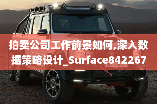 拍卖公司工作前景如何,深入数据策略设计_Surface842267