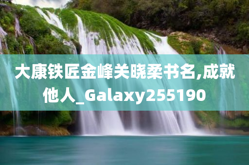 大康铁匠金峰关晓柔书名,成就他人_Galaxy255190