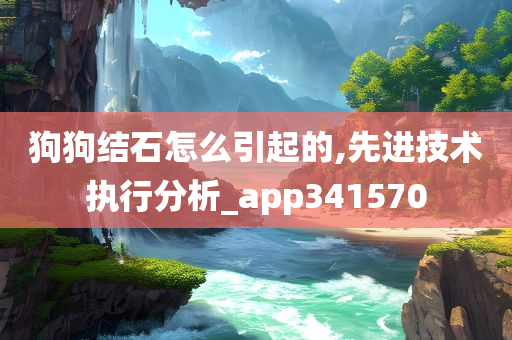 狗狗结石怎么引起的,先进技术执行分析_app341570