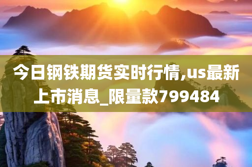 今日钢铁期货实时行情,us最新上市消息_限量款799484