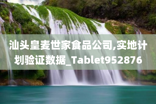 汕头皇麦世家食品公司,实地计划验证数据_Tablet952876