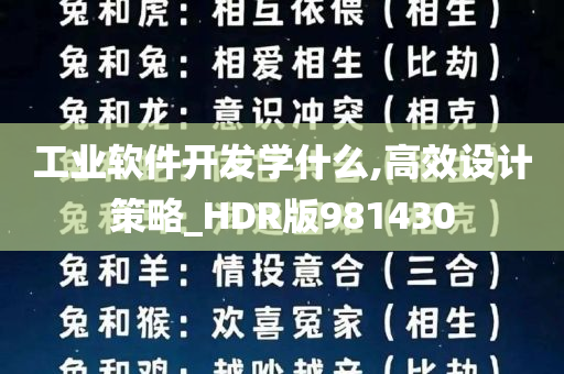 工业软件开发学什么,高效设计策略_HDR版981430