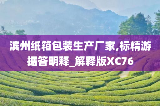 滨州纸箱包装生产厂家,标精游据答明释_解释版XC76