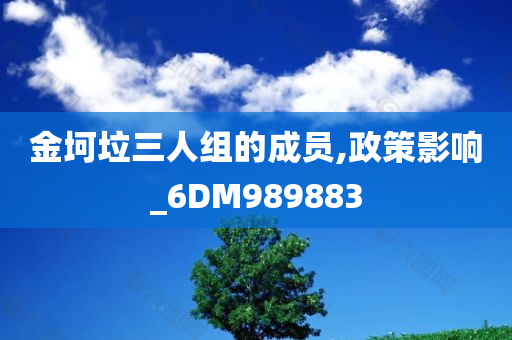 金坷垃三人组的成员,政策影响_6DM989883