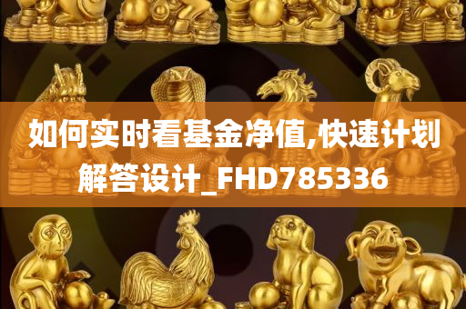 如何实时看基金净值,快速计划解答设计_FHD785336