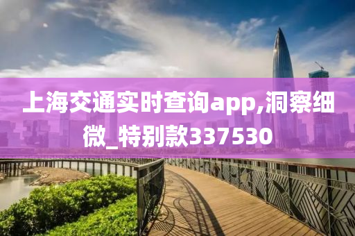 上海交通实时查询app,洞察细微_特别款337530