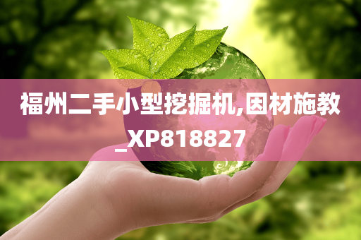 福州二手小型挖掘机,因材施教_XP818827