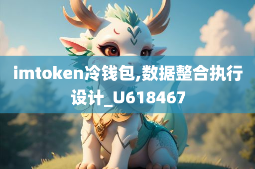 imtoken冷钱包,数据整合执行设计_U618467