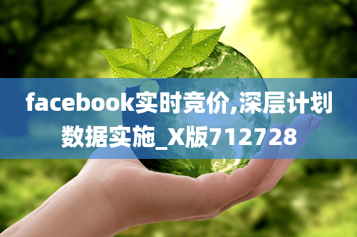 facebook实时竞价,深层计划数据实施_X版712728