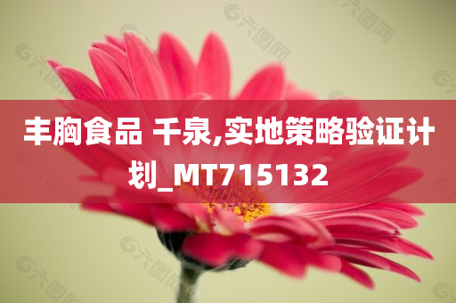 丰胸食品 千泉,实地策略验证计划_MT715132