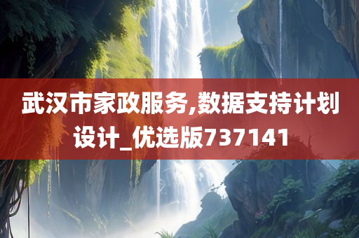 武汉市家政服务,数据支持计划设计_优选版737141