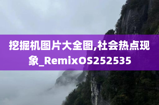 挖掘机图片大全图,社会热点现象_RemixOS252535