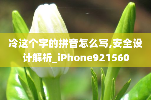 冷这个字的拼音怎么写,安全设计解析_iPhone921560