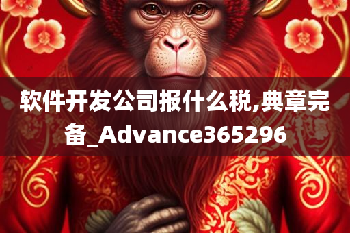 软件开发公司报什么税,典章完备_Advance365296