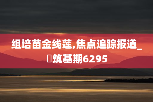 组培苗金线莲,焦点追踪报道_‌筑基期6295