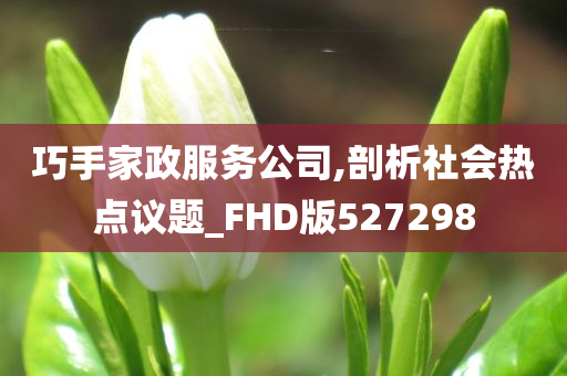 巧手家政服务公司,剖析社会热点议题_FHD版527298