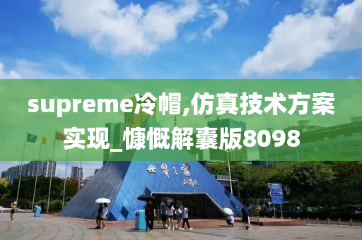 supreme冷帽,仿真技术方案实现_慷慨解囊版8098