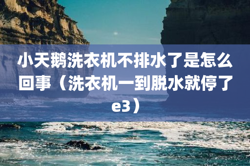 小天鹅洗衣机不排水了是怎么回事（洗衣机一到脱水就停了e3）