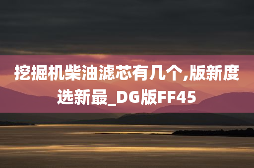 挖掘机柴油滤芯有几个,版新度选新最_DG版FF45