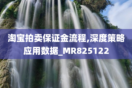 淘宝拍卖保证金流程,深度策略应用数据_MR825122