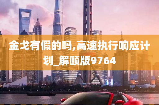 金戈有假的吗,高速执行响应计划_解颐版9764