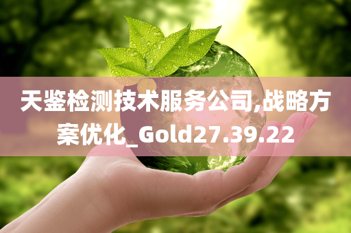 天鉴检测技术服务公司,战略方案优化_Gold27.39.22